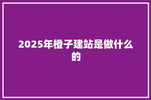 2025年橙子建站是做什么的