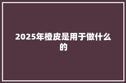 2025年橙皮是用于做什么的