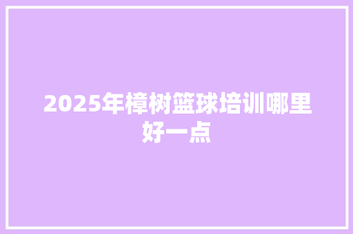 2025年樟树篮球培训哪里好一点 未命名