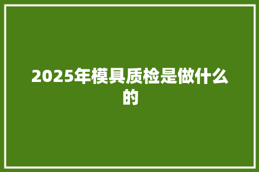 2025年模具质检是做什么的