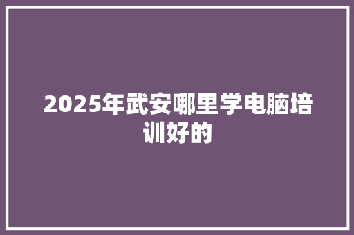 2025年武安哪里学电脑培训好的