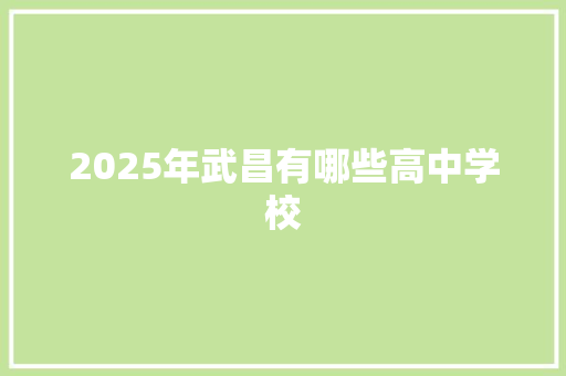 2025年武昌有哪些高中学校