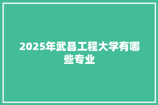 2025年武昌工程大学有哪些专业 未命名