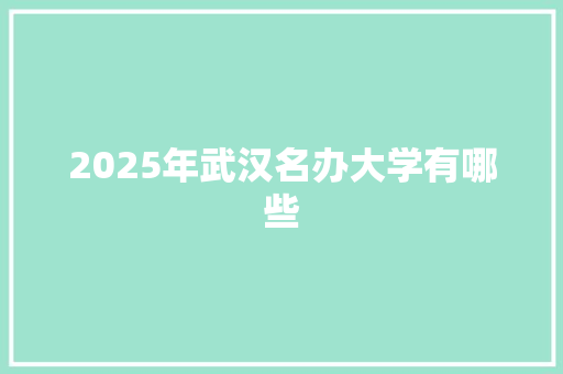 2025年武汉名办大学有哪些