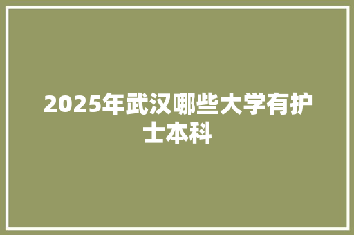 2025年武汉哪些大学有护士本科