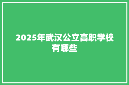 2025年武汉公立高职学校有哪些 未命名