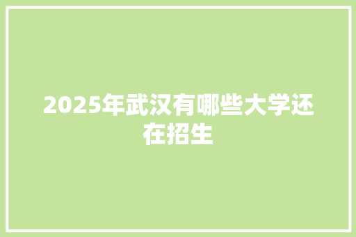 2025年武汉有哪些大学还在招生