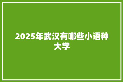 2025年武汉有哪些小语种大学