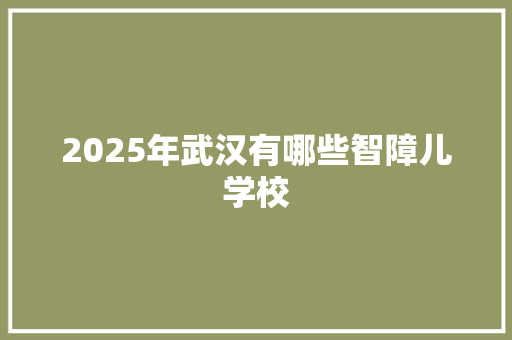 2025年武汉有哪些智障儿学校