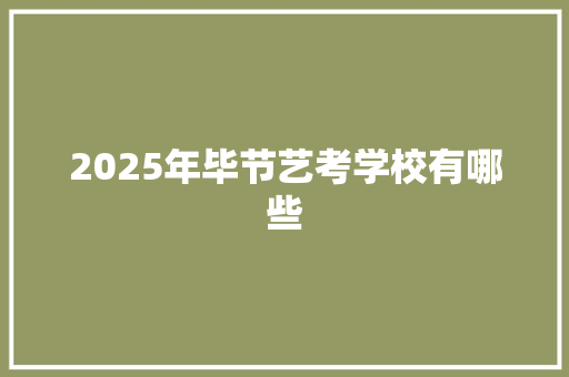 2025年毕节艺考学校有哪些