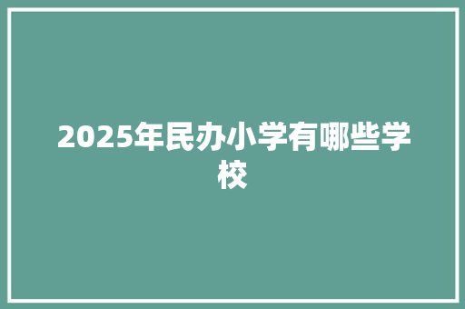 2025年民办小学有哪些学校