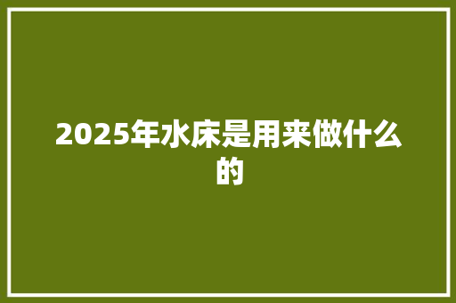 2025年水床是用来做什么的