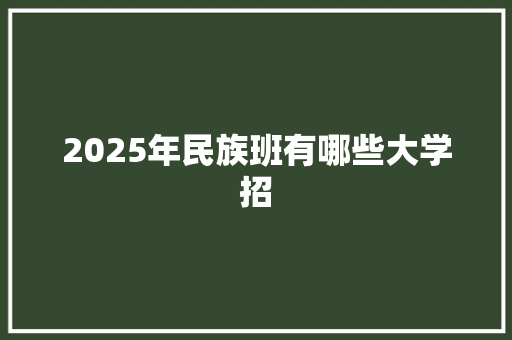 2025年民族班有哪些大学招