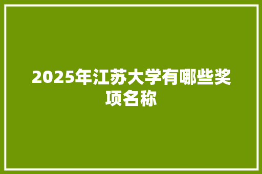 2025年江苏大学有哪些奖项名称