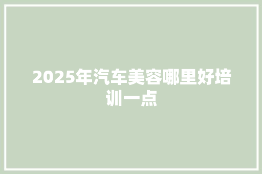 2025年汽车美容哪里好培训一点