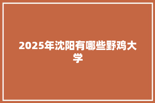 2025年沈阳有哪些野鸡大学