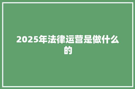 2025年法律运营是做什么的