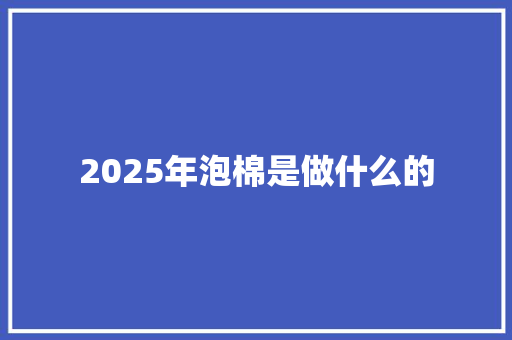 2025年泡棉是做什么的