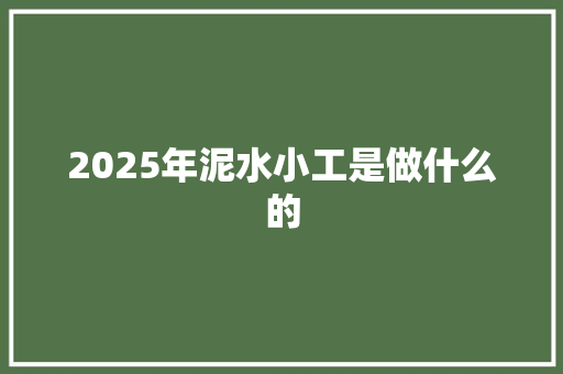 2025年泥水小工是做什么的