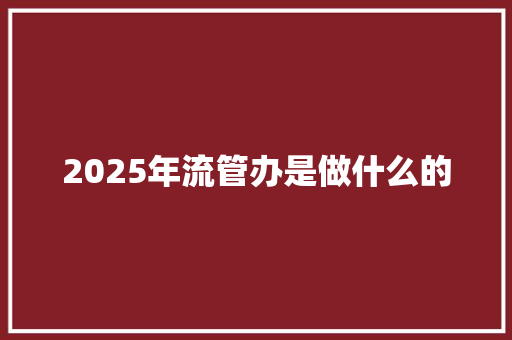 2025年流管办是做什么的