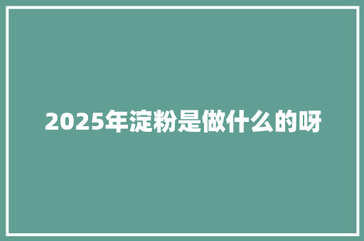 2025年淀粉是做什么的呀