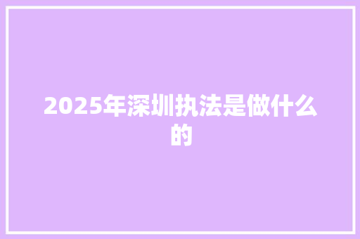 2025年深圳执法是做什么的