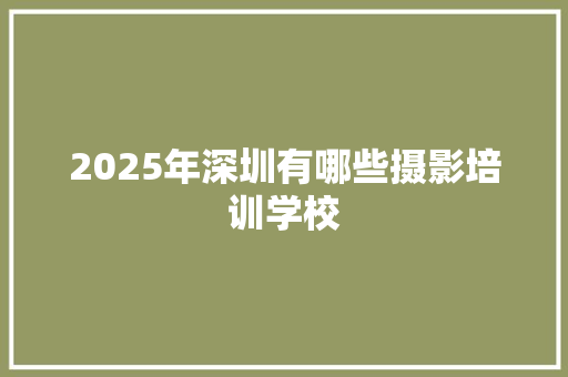 2025年深圳有哪些摄影培训学校