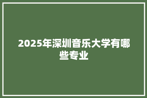 2025年深圳音乐大学有哪些专业 未命名