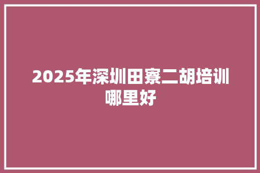 2025年深圳田寮二胡培训哪里好