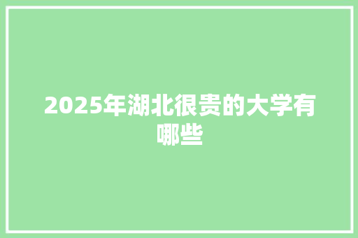 2025年湖北很贵的大学有哪些