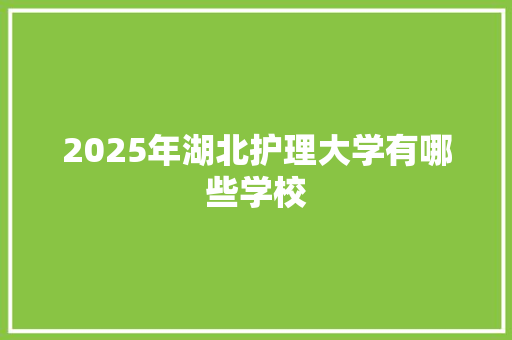 2025年湖北护理大学有哪些学校