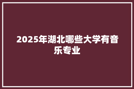 2025年湖北哪些大学有音乐专业