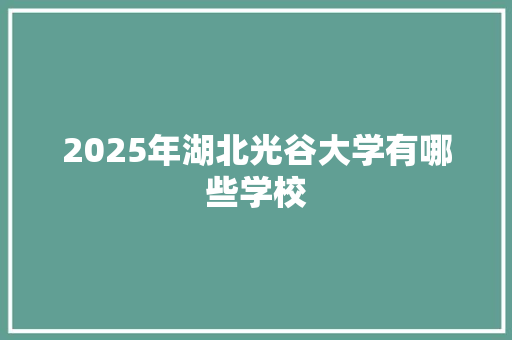 2025年湖北光谷大学有哪些学校