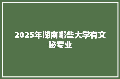 2025年湖南哪些大学有文秘专业