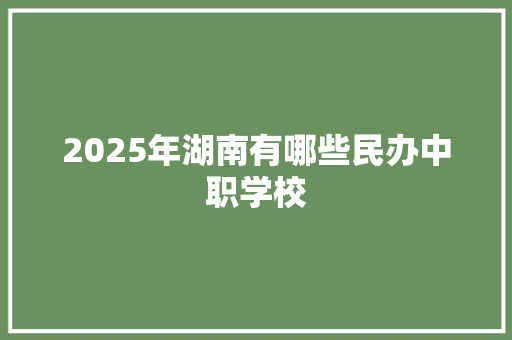 2025年湖南有哪些民办中职学校