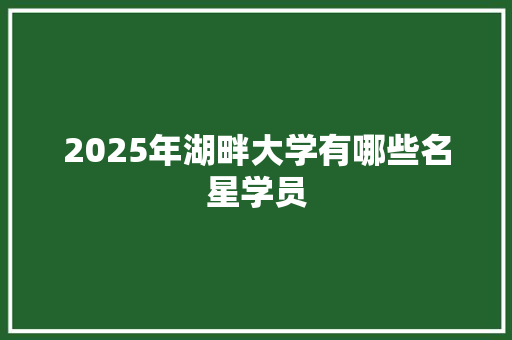 2025年湖畔大学有哪些名星学员