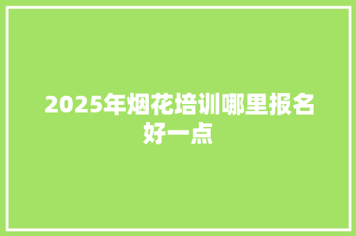 2025年烟花培训哪里报名好一点