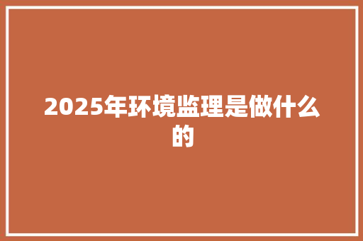 2025年环境监理是做什么的