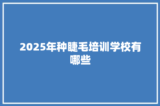 2025年种睫毛培训学校有哪些