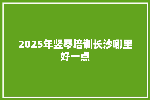 2025年竖琴培训长沙哪里好一点