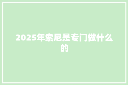 2025年索尼是专门做什么的 未命名