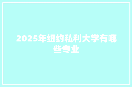 2025年纽约私利大学有哪些专业