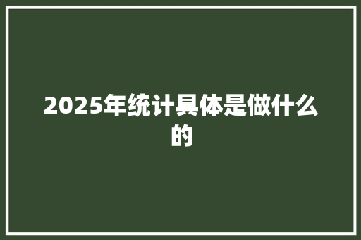 2025年统计具体是做什么的