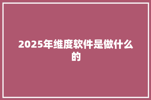 2025年维度软件是做什么的