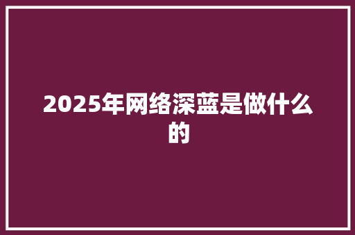 2025年网络深蓝是做什么的