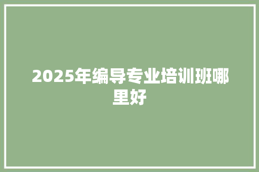 2025年编导专业培训班哪里好