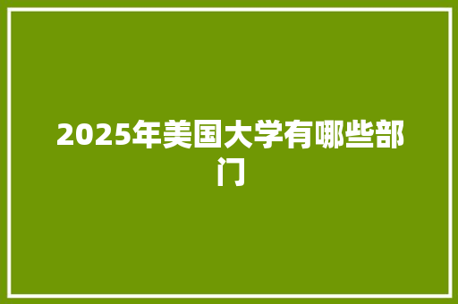 2025年美国大学有哪些部门