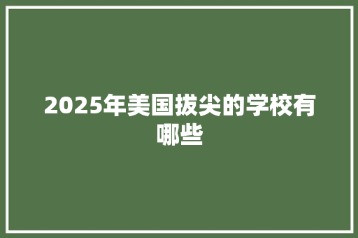 2025年美国拔尖的学校有哪些