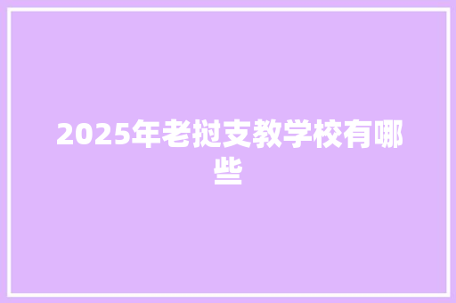 2025年老挝支教学校有哪些