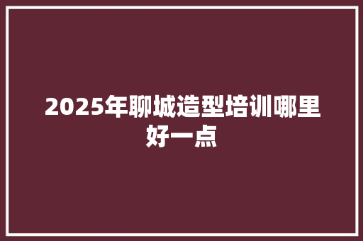 2025年聊城造型培训哪里好一点 未命名